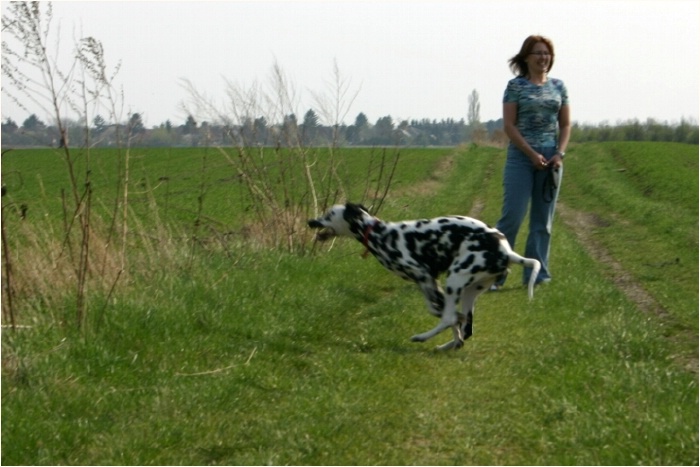 <b>Manuela wo schaust du hin? da bin ich!<b>